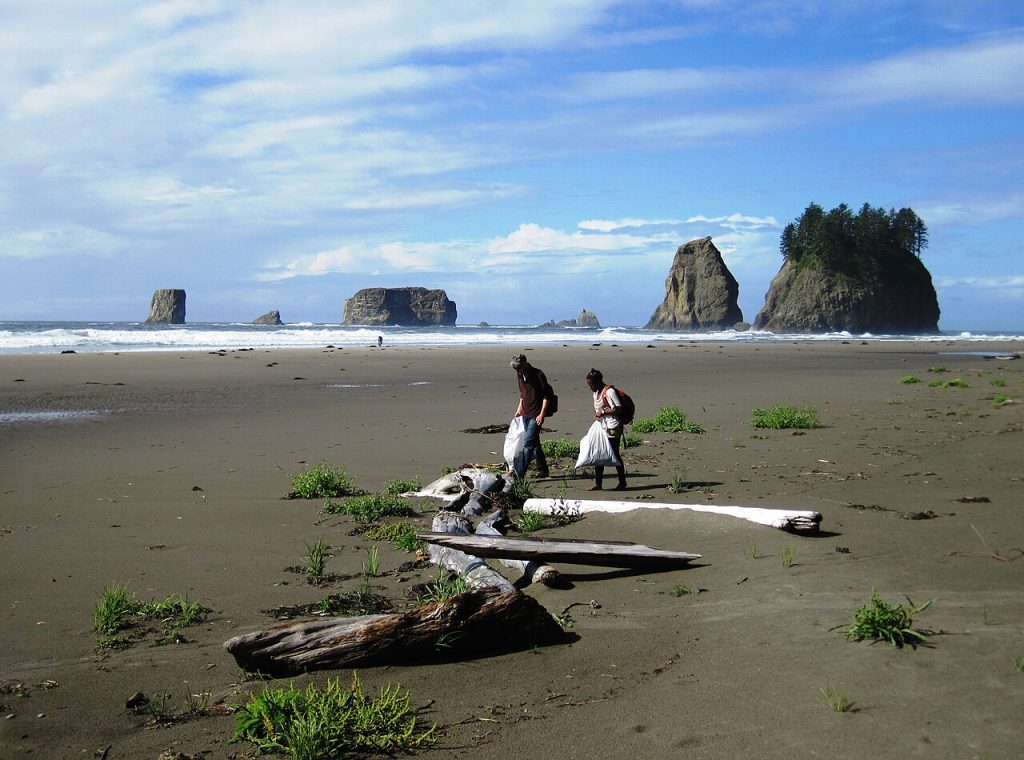 Volunteers on a beach clean-up