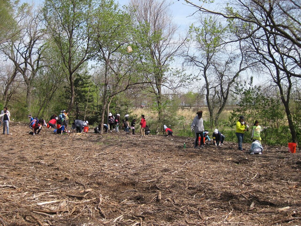 Volunteers at a planting day